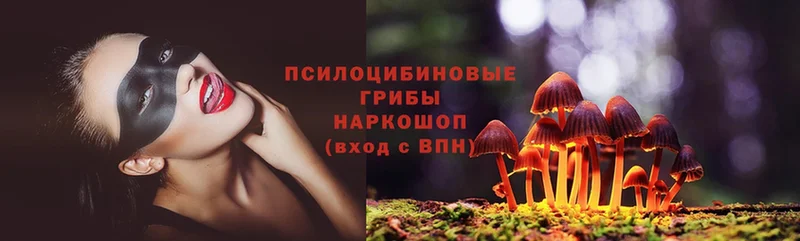 как найти закладки  Копейск  kraken   Псилоцибиновые грибы Cubensis 